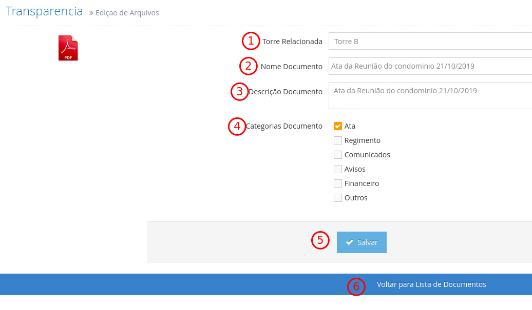 Formulário de edição de metadados do documento.