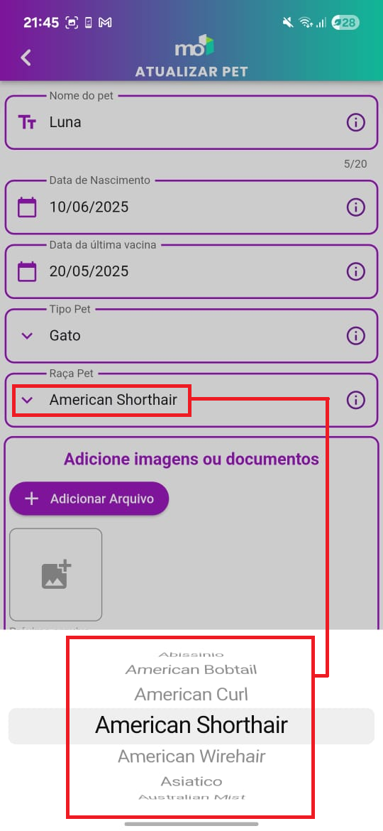 Dropdown de raças de pet mostrando opções filtradas por tipo.