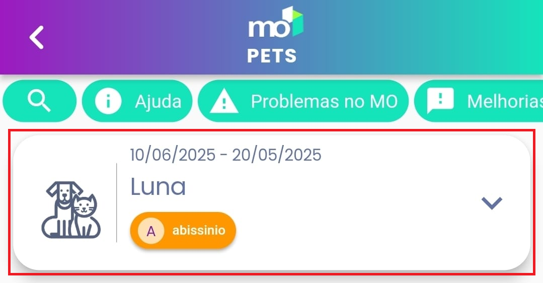 Tela de listagem principal agora mostrando o pet recém-cadastrado.